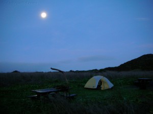 point reyes campsite