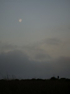 point reyes hiker