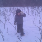 Snowshoeing