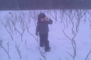 Snowshoeing