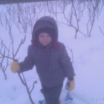 Snowshoeing