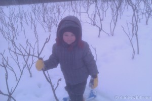 Snowshoeing