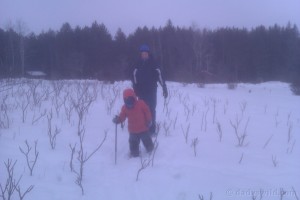 Snowshoeing