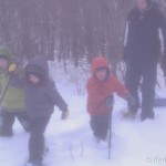 Snowshoeing