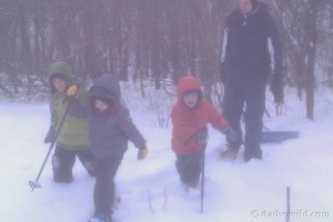 Snowshoeing