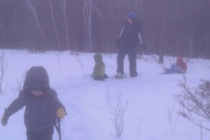 Snowshoeing