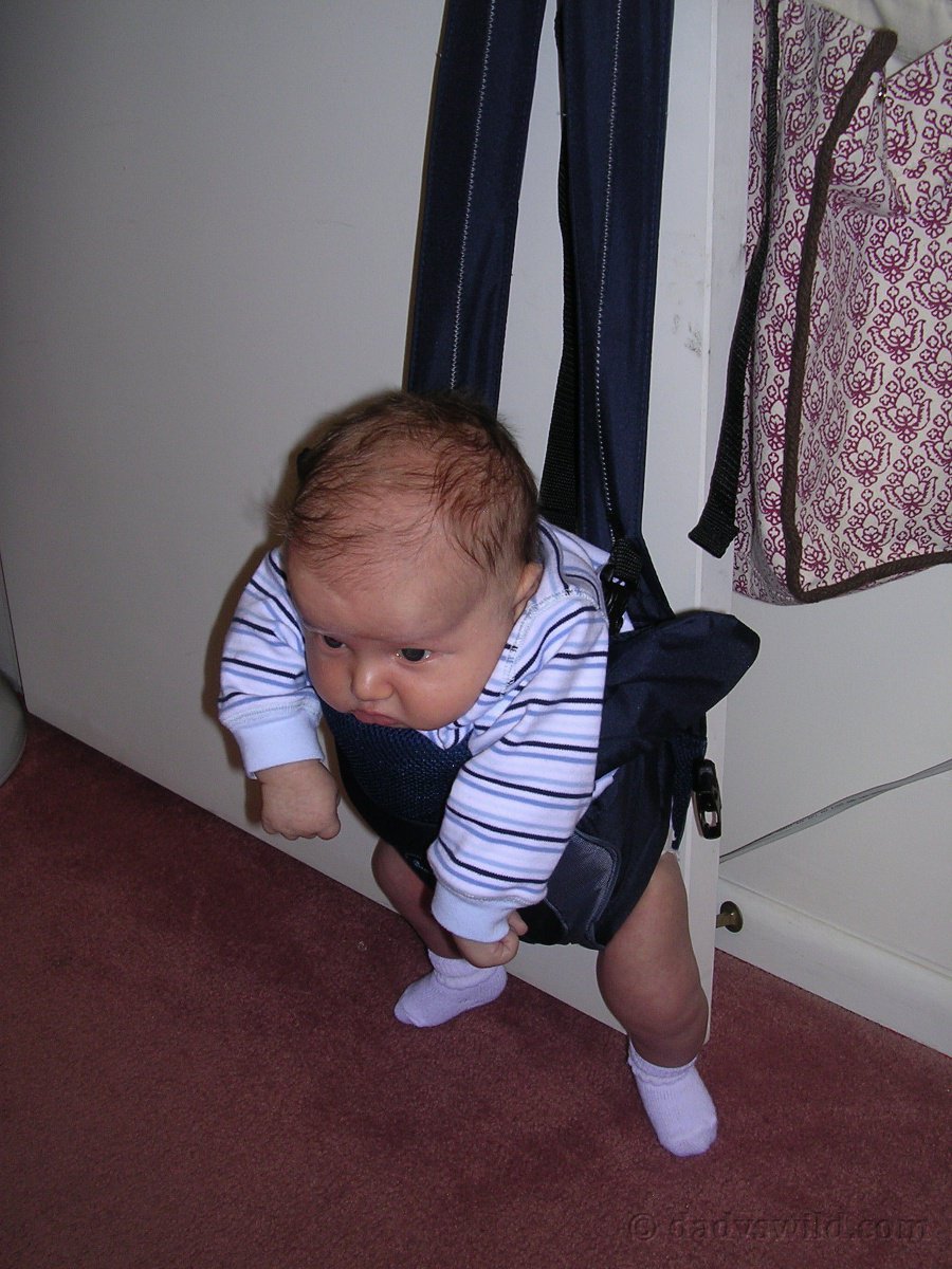 baby swing from door